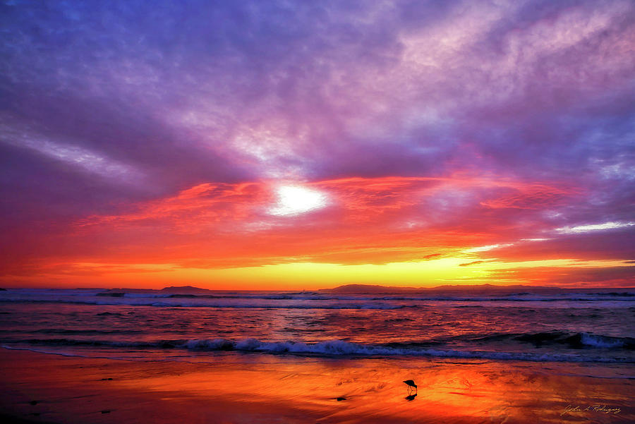 Sandpiper Sunset Ventura California Photograph by John A Rodriguez