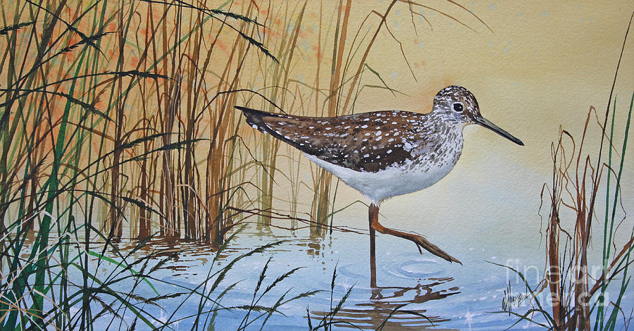 Wildlife Painting - Sandpipers Bright Shore by James Williamson