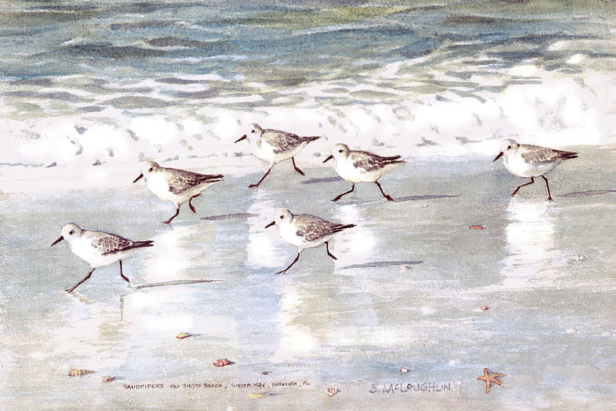 Sandpipers On Siesta Key Painting by Shawn McLoughlin