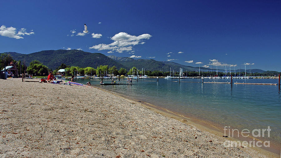 Sandpoint City Beach Photograph by Cindy Murphy - NightVisions