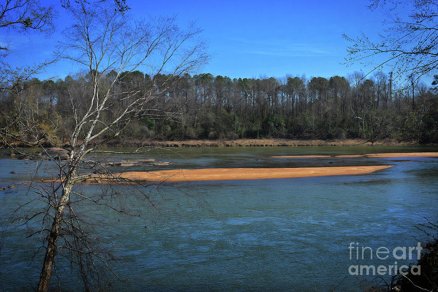 Sands Of The Congaree Photograph by Skip Willits