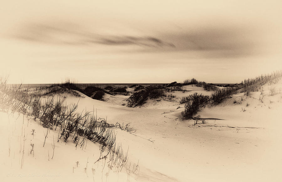 Sands of Time Photograph by C  Renee Martin