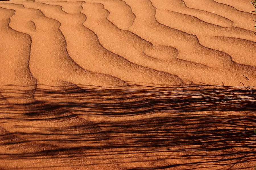 Sands of Time Photograph by George Buxbaum