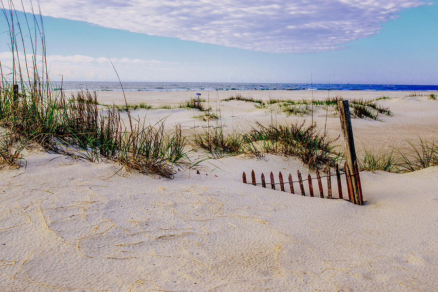 Sand  Fences On The Bogue Banks 2 Photograph by John Harding