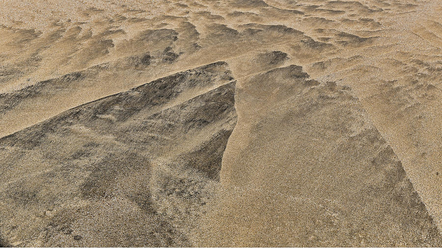 Sandscape Photograph by Mark Harrington