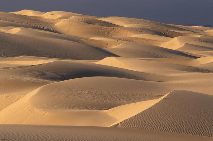 Sandscape Photograph