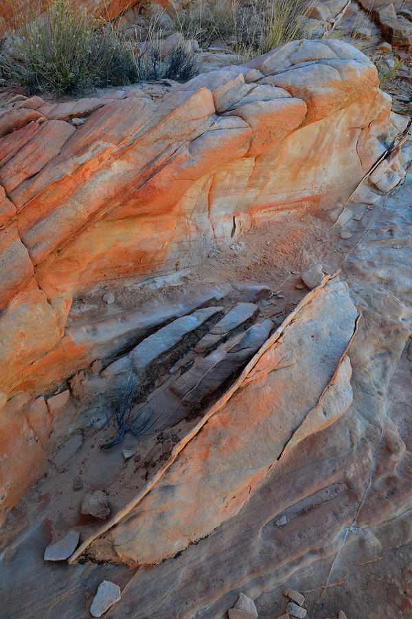 Sandstone Art in Valley of Fire Photograph by Ray Mathis