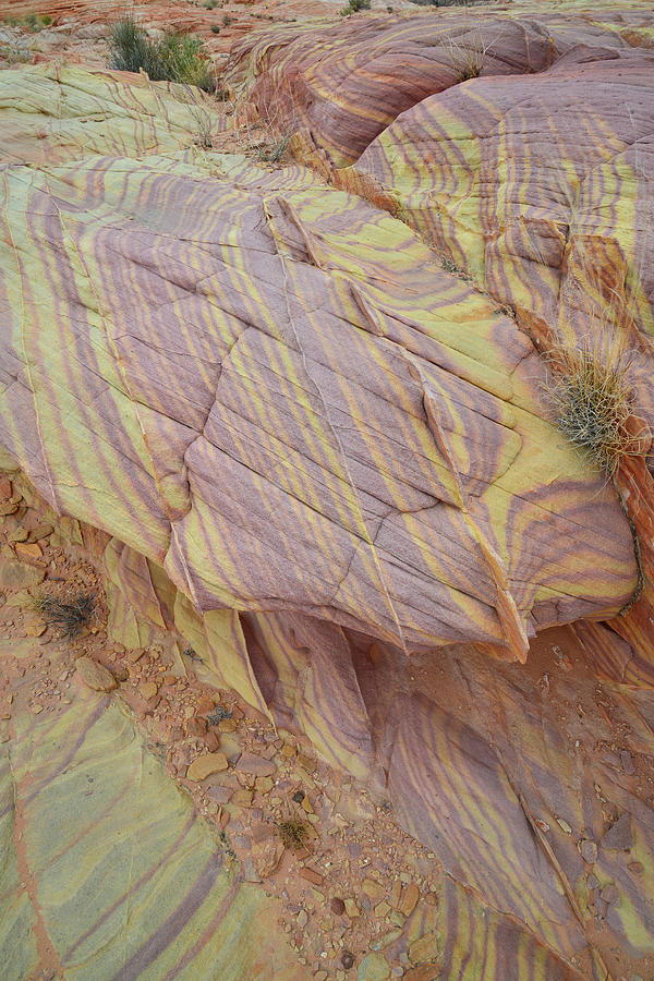 Sandstone Artwork in Valley of Fire Photograph by Ray Mathis