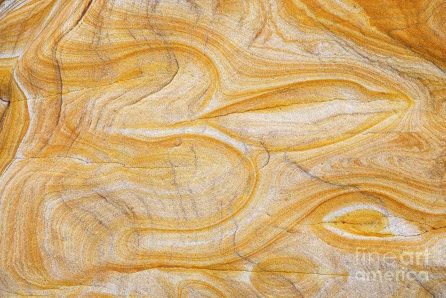 Sandstone Aum Photograph by Tim Gainey
