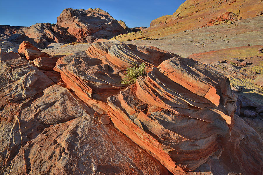 Sandstone Beehives atop Valley of Fire Photograph by Ray Mathis