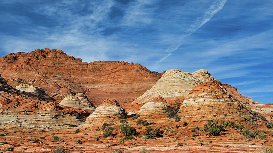 Sandstone Beehives Photograph by Jerry Fornarotto