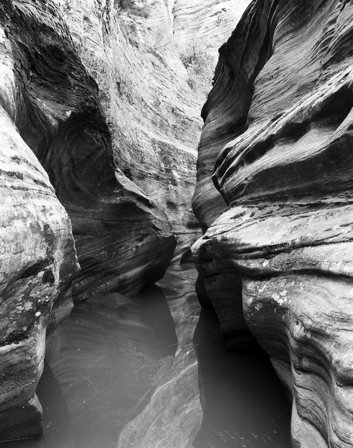 Sandstone Canyon Photograph by Christian Slanec