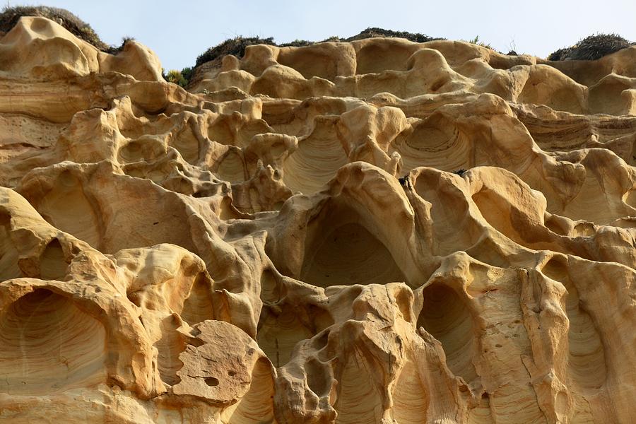 San Diego Photograph - Sandstone Cliff  by Christy Pooschke