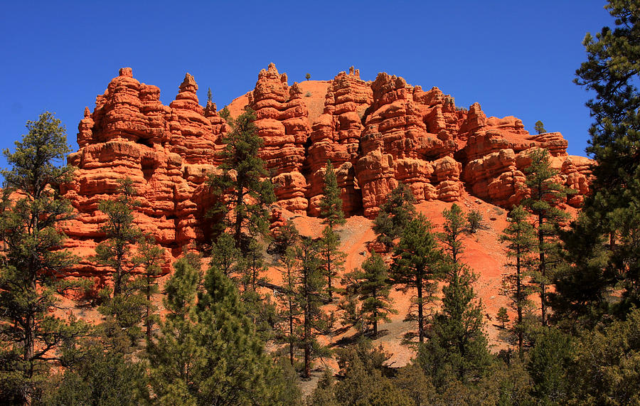 Sandstone Cliffs Photograph by David Kocherhans