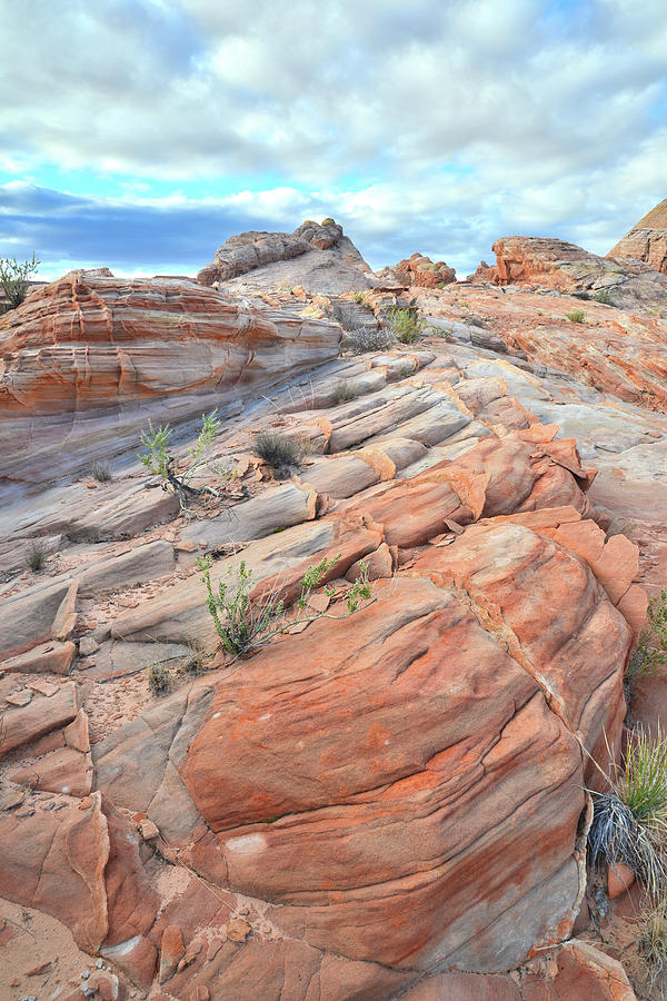 Sandstone Crest in Valley of Fire Photograph by Ray Mathis