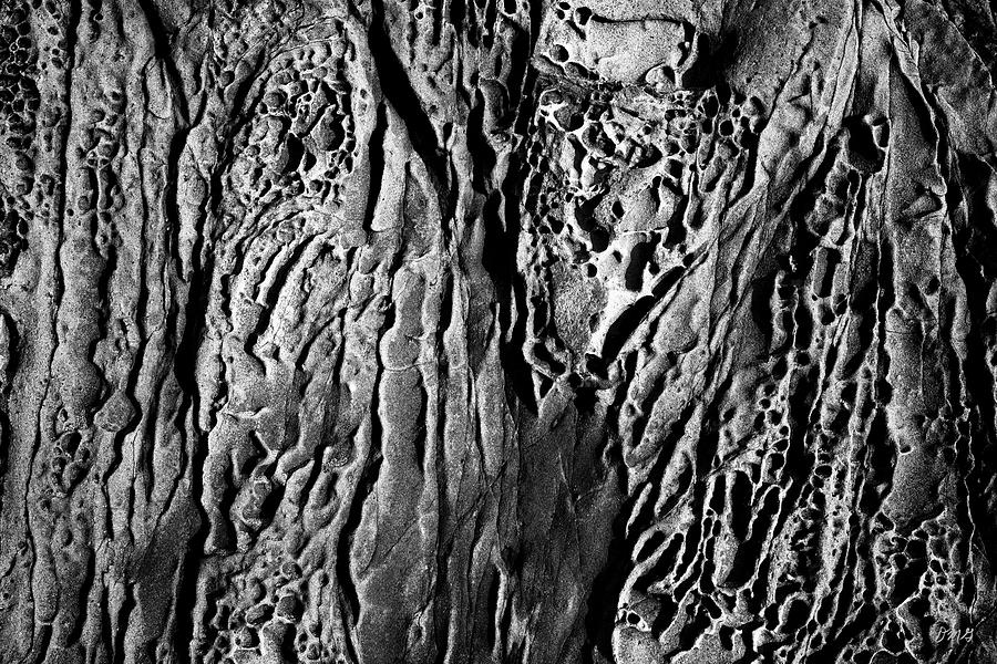 Sandstone Erosion I BW Photograph by David Gordon
