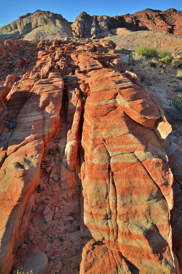 Sandstone Fingers at Sunrise in Valley of Fire Photograph by Ray Mathis
