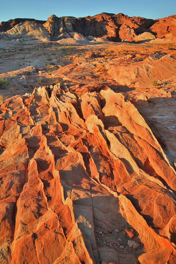 Sandstone Fins at Sunrise in Valley of Fire Photograph by Ray Mathis