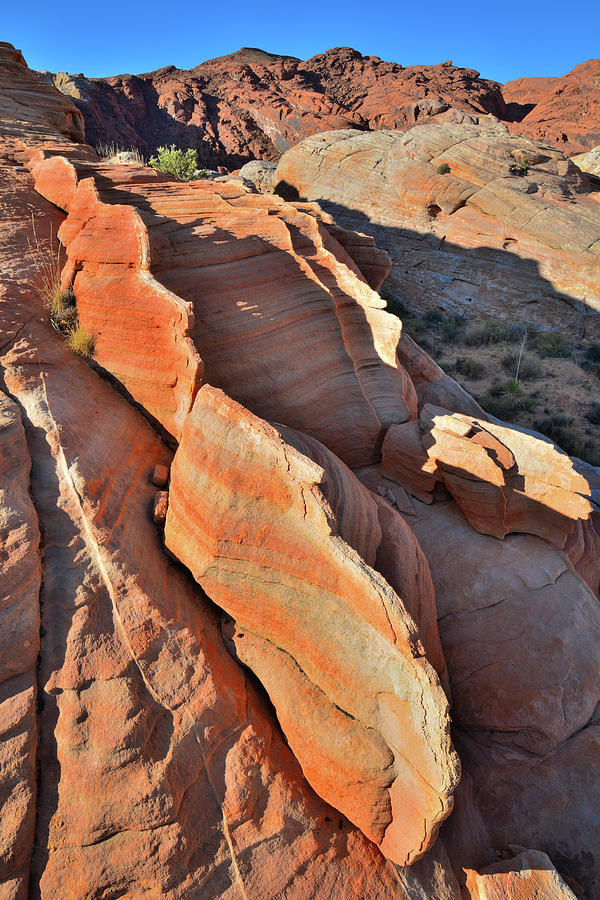 Sandstone Fins of Valley of Fire in Morning Light Photograph by Ray Mathis