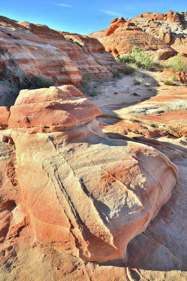 Sandstone Fireplug in Valley of Fire Photograph by Ray Mathis