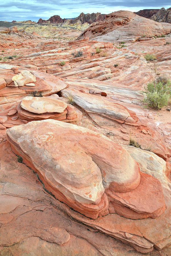 Sandstone Footprint in Valley of Fire Photograph by Ray Mathis