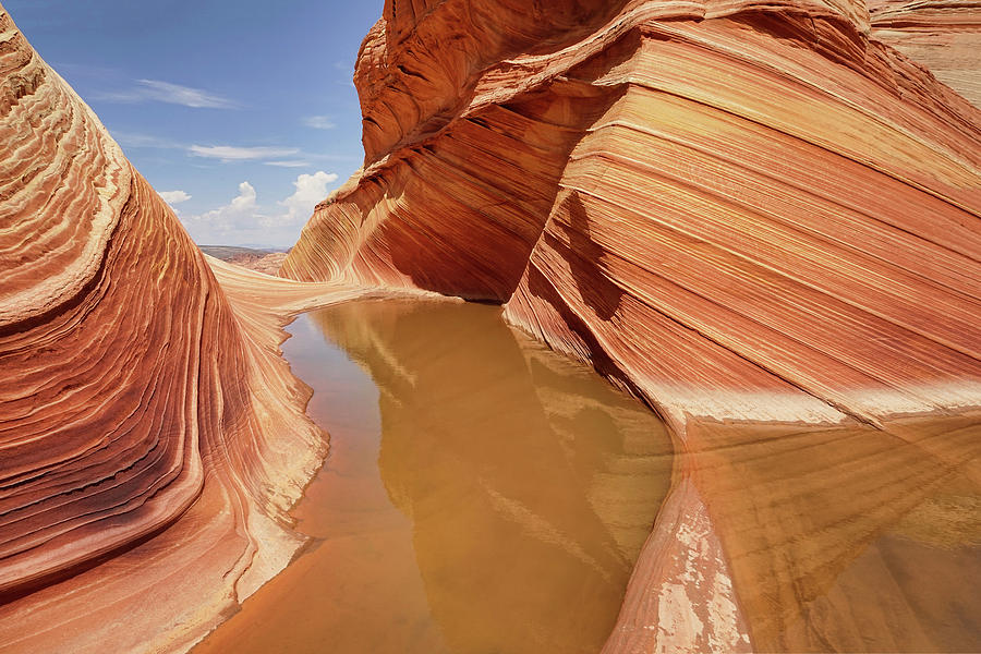 Sandstone Formations Photograph by Leda Robertson