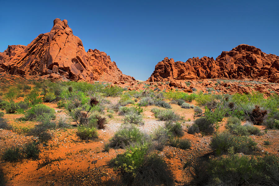 Sandstone Formations Valley of Fire Photograph by Frank Wilson