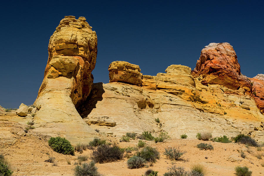 Sandstone Fortress Valley Of Fire Photograph by Frank Wilson