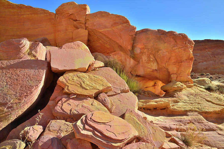 Sandstone Glows in Valley of Fire Photograph by Ray Mathis
