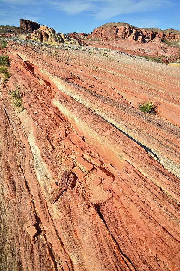 Sandstone Highway in Valley of Fire Photograph by Ray Mathis