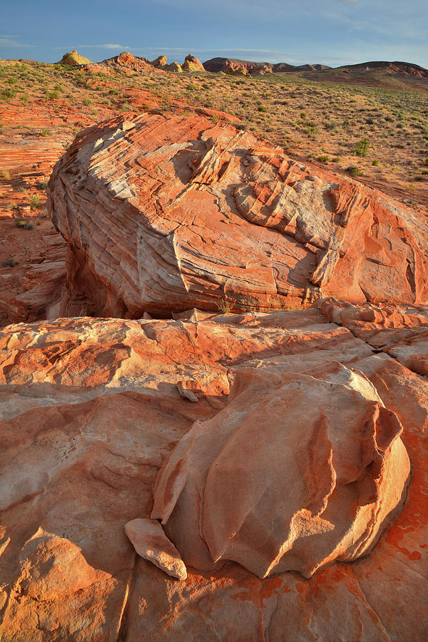 Sandstone Landscape Of Valley Of Fire Photograph