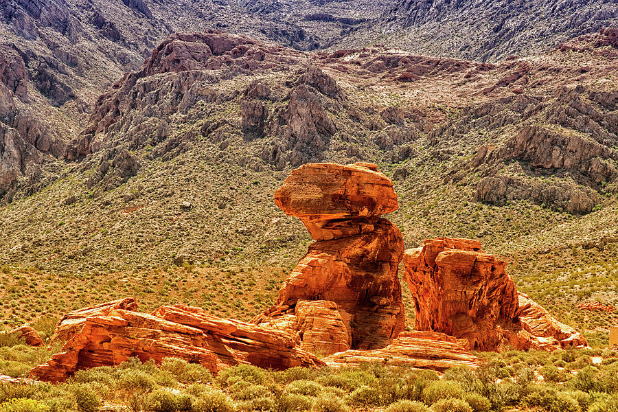 Sandstone Outcrop Valley of Fire Photograph by Frank Wilson