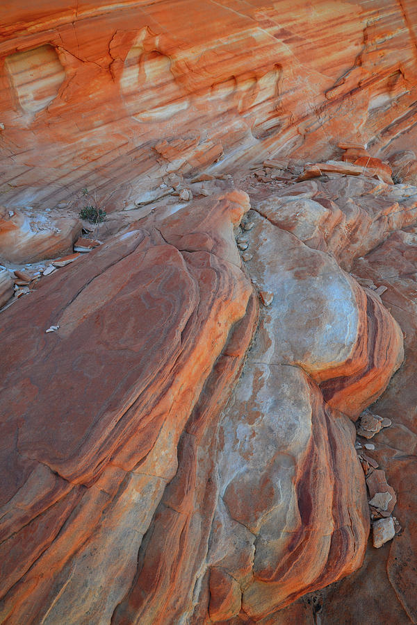 Sandstone Pattern in Valley of Fire Photograph by Ray Mathis