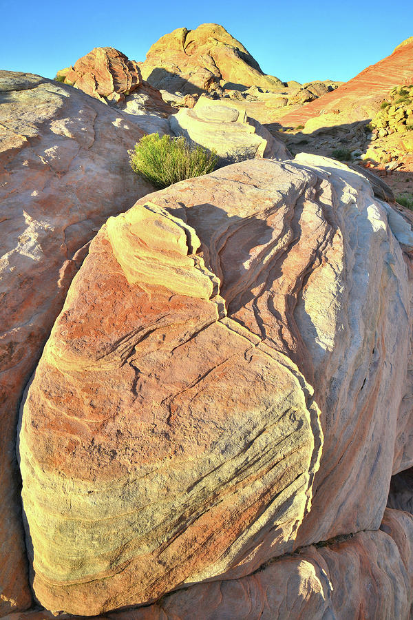Sandstone Peach in Valley of Fire Photograph by Ray Mathis