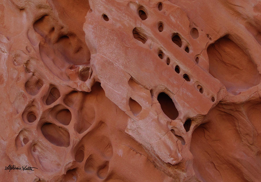 Sandstone Pockets by Stephanie Salter Sandstone Pockets by Stephanie Salter