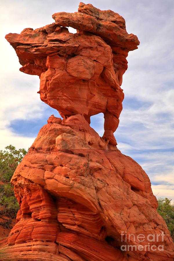 Poodle Photograph - Sandstone Poodle by Adam Jewell