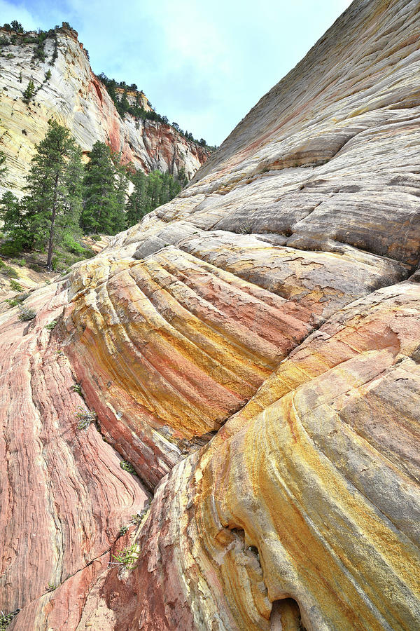 Sandstone Rainbow Photograph by Ray Mathis