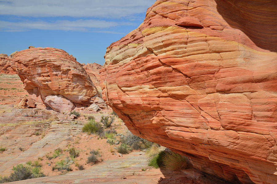 Sandstone Reefs in Valley of Fire Photograph by Ray Mathis