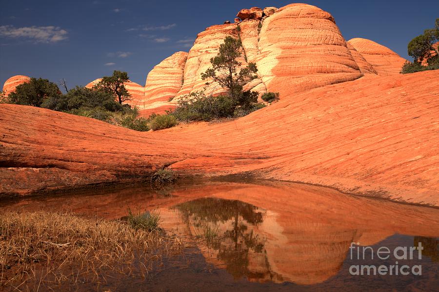 Sandstone Reflections After The Rain Photograph by Adam Jewell
