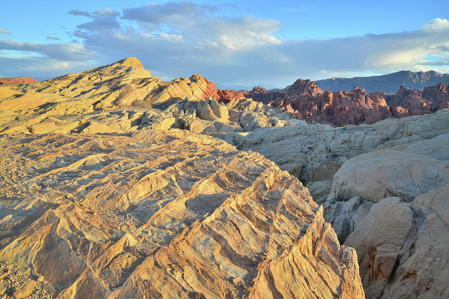 Sandstone Ripples at Sunset in Valley of Fire Photograph by Ray Mathis