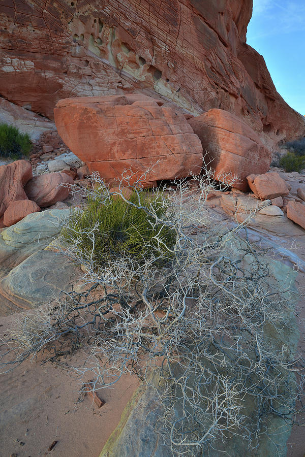 Sandstone Scene in Valley of Fire Photograph by Ray Mathis