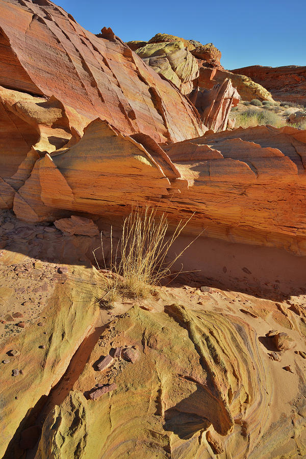 Sandstone Shapes of Wash 3 in Valley of Fire Photograph by Ray Mathis