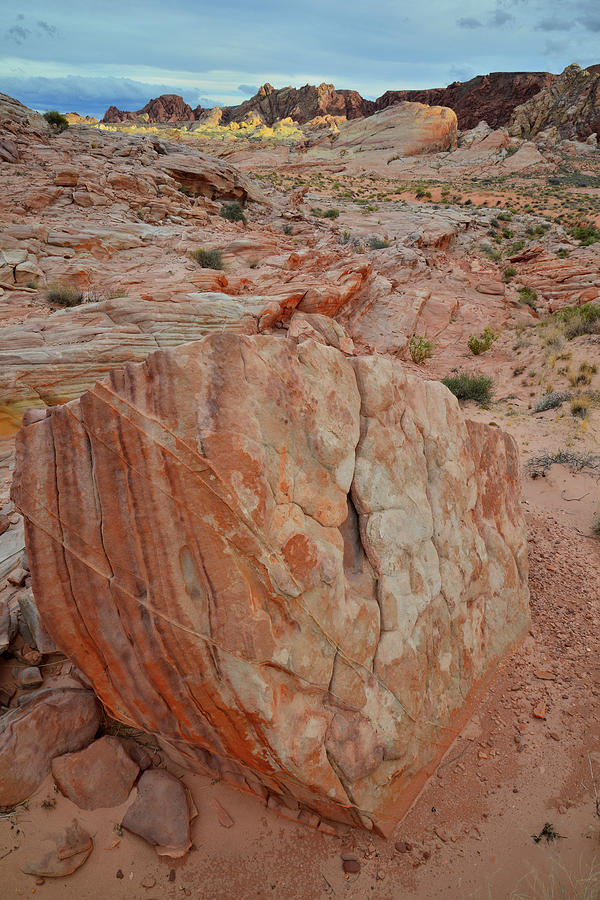 Sandstone Shield in Valley of Fire Photograph by Ray Mathis