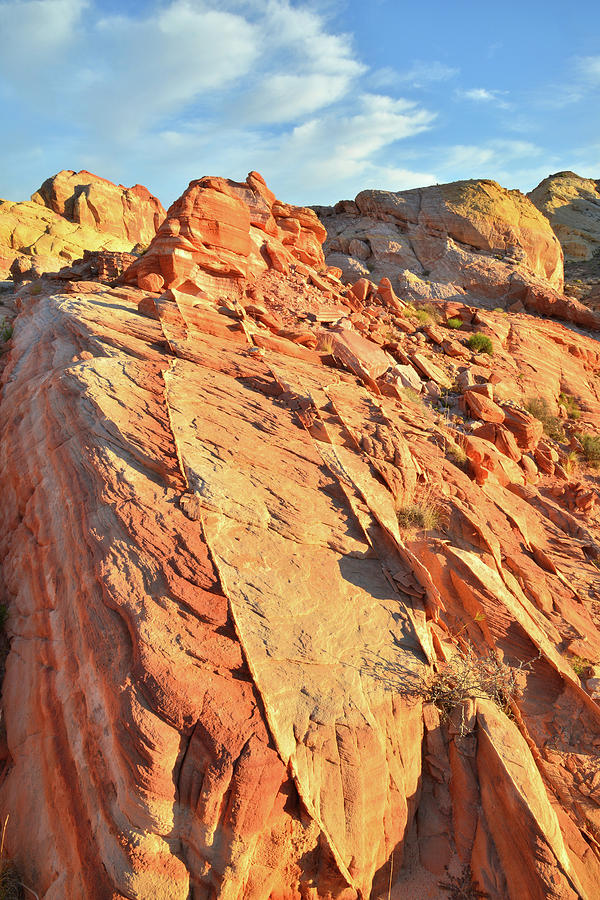 Sandstone Slope above Wash 5 in Valley of Fire Photograph by Ray Mathis