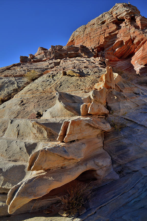 Sandstone Spine in Valley of Fire Photograph by Ray Mathis