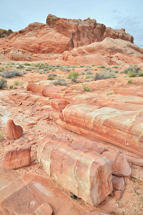 Sandstone Steps in Valley of Fire Photograph by Ray Mathis