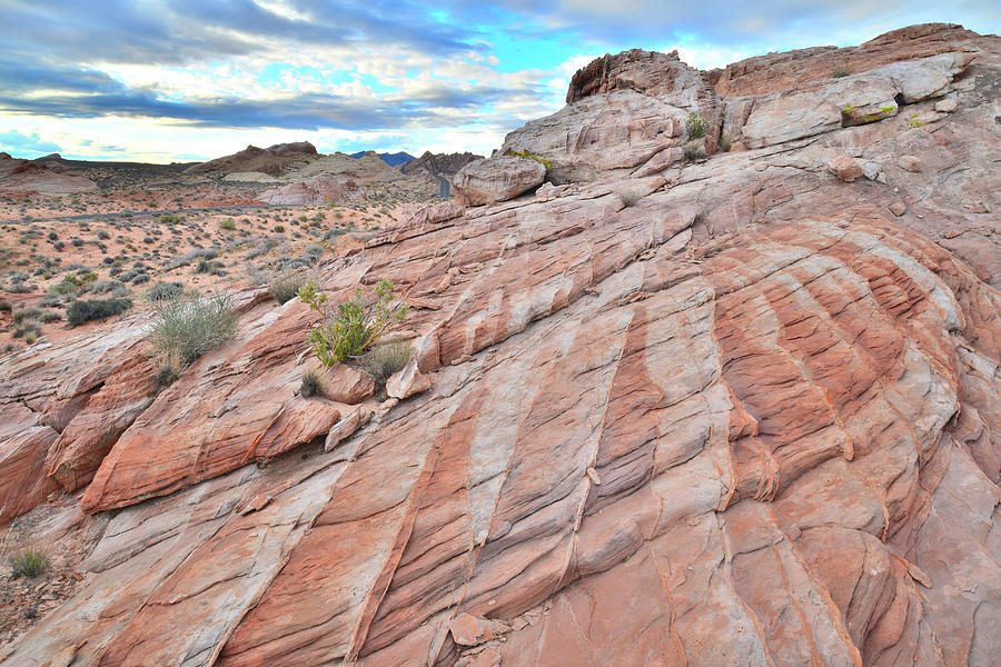 Sandstone Stripes in Valley of Fire Photograph by Ray Mathis