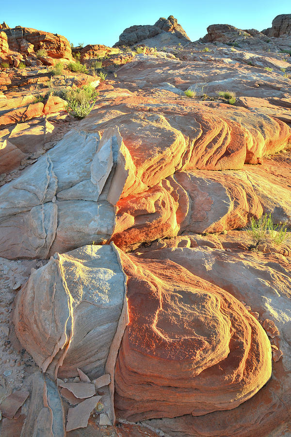 Sandstone Swirls at Sunset in Valley of Fire Photograph by Ray Mathis