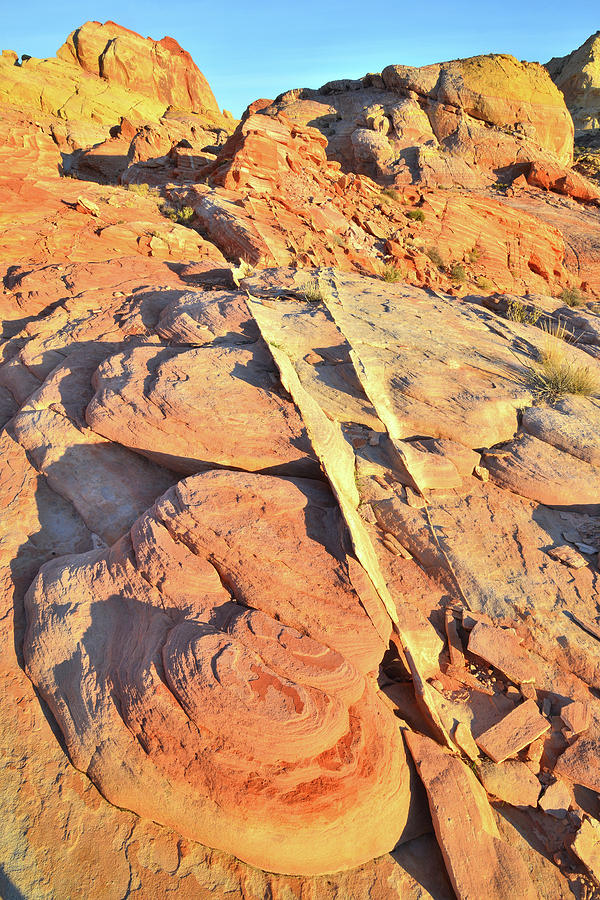 Sandstone Swirls in Valley of Fire Photograph by Ray Mathis