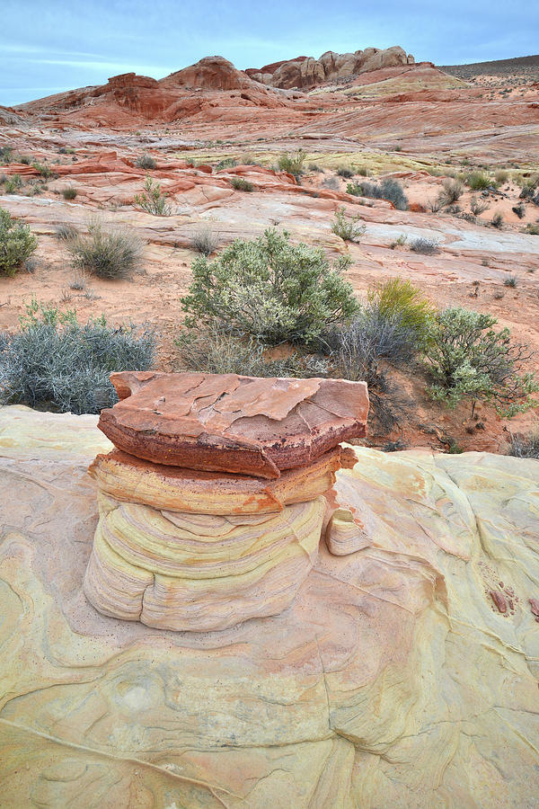 Sandstone Toadstool in Valley of Fire Photograph by Ray Mathis